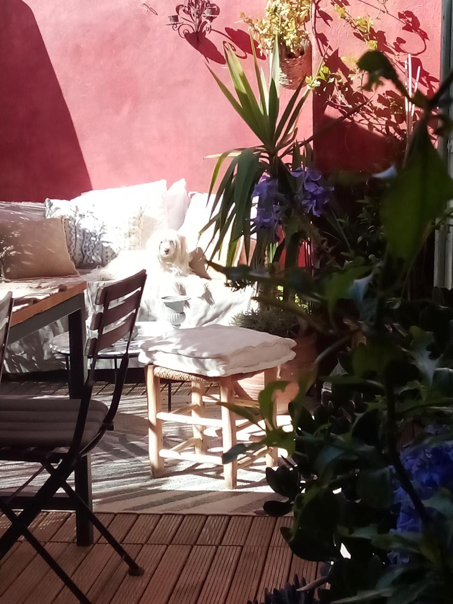 La Maison Perchee Aigues-Mortes Habitación foto